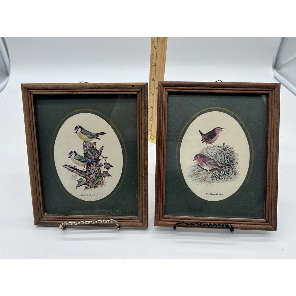 Vtg Framed Tom Banks Birds Print set Blue T, Robin and Wren